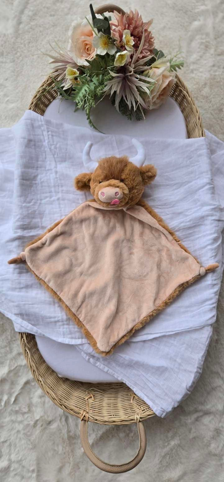 Comforter Bear🧸