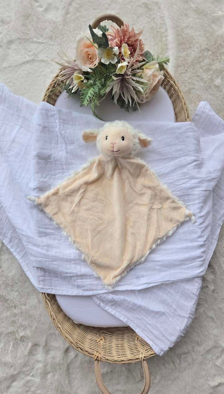 Comforter Bear🧸